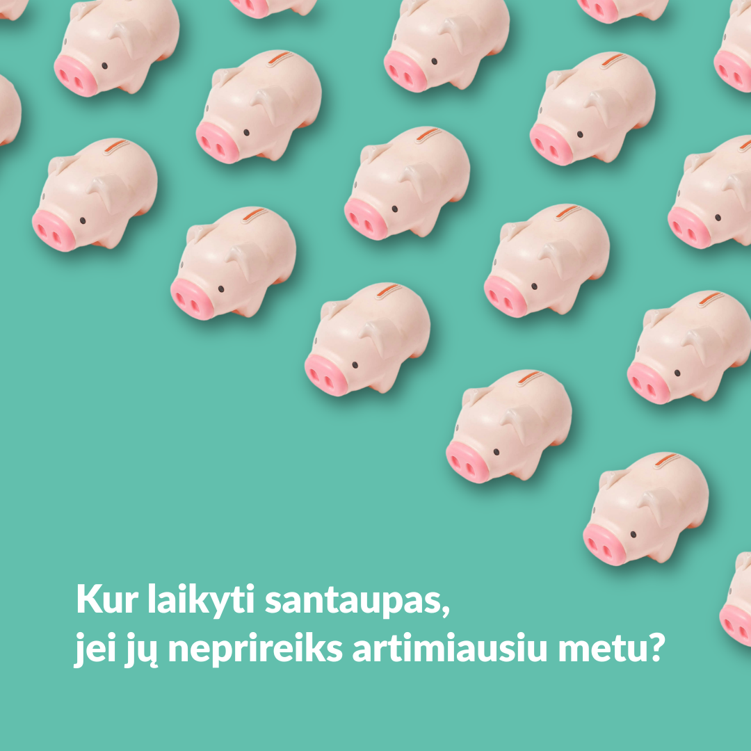  Kur laikyti santaupas, jei jų neprireiks artimiausiu metu?